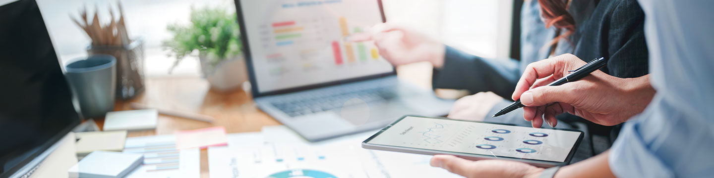 Business Application Software Consulting
