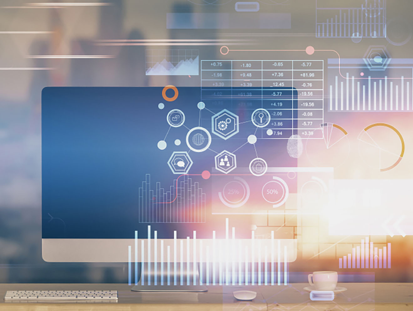 Business Application Software Consulting