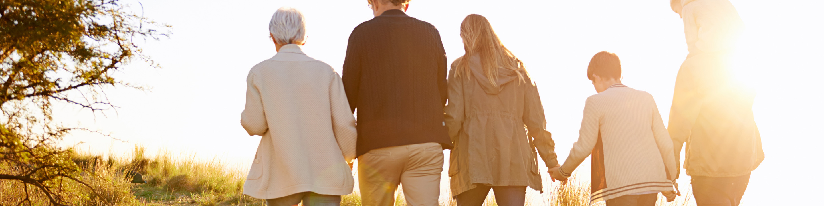 Trust and Estate Planning Guide