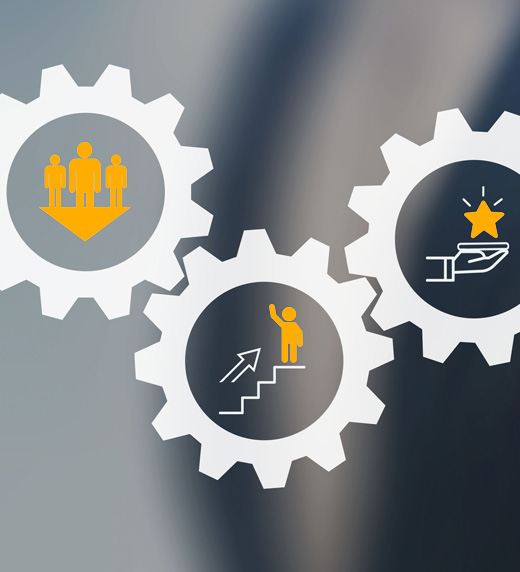 4 Ways an HRIS Drives Business Transformation  (and Makes HR the Hero)